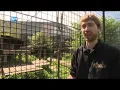 Download Lagu Remy en zijn vrienden: Hoenderdaell wil ook opvangplek voor neusberen zijn #15