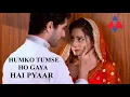 humko tumse ho gaya ha pyaar(serial song)