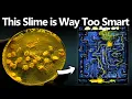 My Pet Eldritch Horror Jerry the Slime