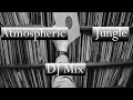 Download Lagu Atmospheric Jungle Vinyl DJ Mix