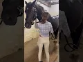 Download Lagu Thank you Willy! #horse #pony #cute #equestrian