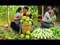 Download Lagu Harvesting cucumbers, ripe papaya and Malabar spinach for sale at the market by a bamboo couple