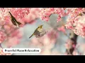 Download Lagu 🎵Relaxing music treats diseases of the heart and blood vessels, Calming music for nerves, Deep sleep