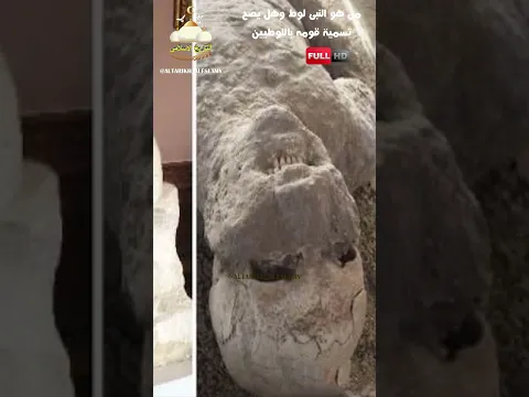 من هو النبى لوط وهل يصح تسمية قومه باللوطيين