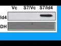8A28CD319C3A78E8DA7D4870CCA015#1