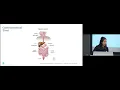 MGH Williams Syndrome Program - 9 13 2025 Feeding Eating GI Issues across the Lifespan Session I