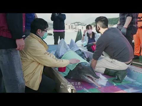 《鲸之声》Hearing from the Dolphin  |  新加坡华语电影节 Singapore Chinese Film Festival 2023