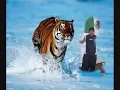 los tigres del norte el tahur.wmv
