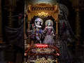 Pranat Klesa Nasaya Govindaya Namo Nama #krishna #harekrishna #vrindavan #mathura #radha #jaikrishna