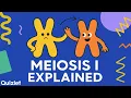Meiosis I Explained Reductional Division Stages Genetic Variation