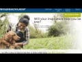 unitedhealth group careers