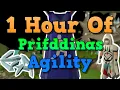 OSRS Prifddinas Agility Course Guide 2021 1 Hour