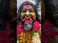 Lagu Potharaju Dance at Golkonda Bonalu 2023 | Hyderabad Bonalu 2023 #shorts #short #shortvideo #trending