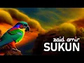 Zaid Amir - Sukun (2024)