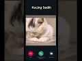 Download Lagu Telepon Kucing Sedih