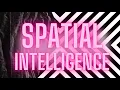spatial intelligence morphic field