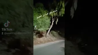 أخطر طريق في الجزائر رعب حقيقي 