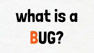 What is a Software Bug