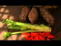 Panzer the Tortoise eating celery