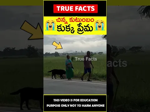 Dog with family 😭చిన్న కుటుంబం కుక్క ప్రేమ😭 #amazingfacts #truefacts #shorts