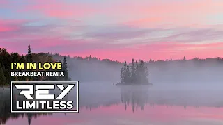 im in love reylimitless breakbeat remix 