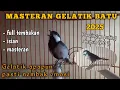 Download Lagu silahkan dibuktikan !!! ocehan Burung gelatik batu ini mampu membuat Gelatikmu nembak emosi !!!