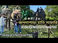 Lagu Jaldapara National Park| Jaldapara elephant safari|Dooars tour plan |Elephant Safari |