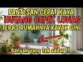 Download Lagu 12 Fitur Utama Rumah yang Akan Membuat Pemiliknya Kaya dan Bebas Utang dengan Cepat