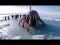 Download Lagu What Russian Scientists Discovered In Antarctica TERRIFIES The Whole World!