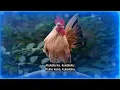 Download Lagu EGOTRIP - parodie op de song van Aaron Blommaert (Zomerhit 2025?)
