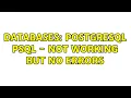 Databases PostgreSQL psql - not working but no errors
