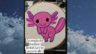 Bonitos bordados terminados octubre 2026