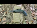 Download Lagu ROSSI BRAWLER REVIEW! #hiking #hunting #guns