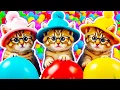 Download Lagu ANAK KUCING MEONG MEONG | Lagu Anak Anak | Lagu Anak Indonesia Populer Si Meong Kucing Lucu