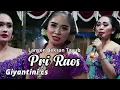 Download Lagu TAYUB GIYANTINI CS - CAPING GUNUNG , GELANG KALUNG - PRI RAOS || MDM MULTIMEDIA