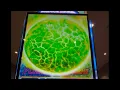 A HUGE BONUS AT JACKPOT JUNCTION CASINO