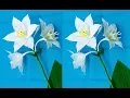 How to make Crepe paper Flowers Amazon Lily Eucharis grandiflora flower 231