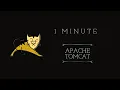Apache Tomcat in One Minute Fueling Dynamic Web Applications