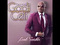 Besoin d'amour [Remix] (feat. Nesly) - Gadji Celi