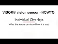 VISOR vision sensor - HOWTO