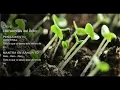 Download Lagu Deepak Chopra-Día 6 Reto de Meditación Creando Abundancia