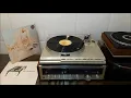 Pale Saints - Throwing back the apple (Vinyl - HQ Audio)