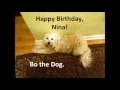 Download Lagu Nina's Birthday Video   wmv
