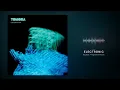 TOMORA, AURORA & Tom Rowlands - Hold Me Let Go
