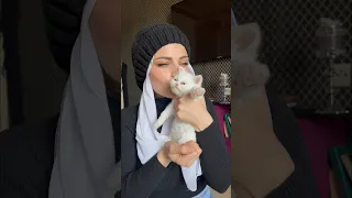 قطة تغني نانو وام سيف 