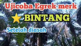 Download Ujicoba Egrek Merk ⭐ BINTANG setelah diasah MP3