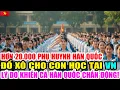 Lagu Hơn 20.000 phụ huynh Hàn Quốc đăng ký cho con du học Việt Nam, lý do khiến Seoul chấn động mạnh mẽ!!