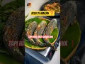 Lagu Ikan Sapu-sapu Bisa Dimakan❓❗ Tapi Ini Bahayanya yang Jarang Diketahui#viral #fyp #sapusapu #shorts
