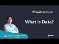 Data Visual Programming Bahasa Indonesia