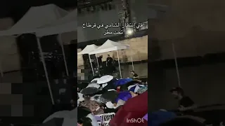 حفل الشامي بتونس مباشر الشامي حفلات تونس تيك توك ترند بتهون ستوريات حالات واتس الشامي حب 